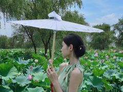 -陶辛水韵