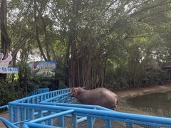 -广州长隆飞鸟乐园