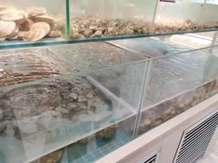 -绿岛港轩海鲜烤肉涮锅自助餐厅