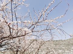 -北京明城墙遗址公园