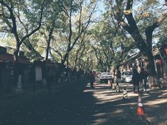 -北京国子监胡同