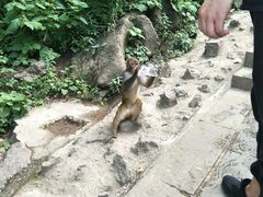 -黔灵山公园-南门售票处