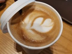 -猫屎咖啡(日月光中心广场店)