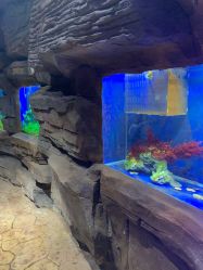 点击看大图 -宝燕乐园(闵行旗舰店)