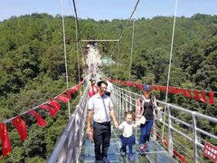 -九龙江国家森林公园