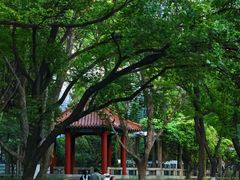 -山东大学(趵突泉校区)