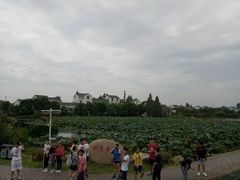 -东山香樟园