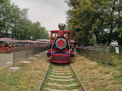 -永定河休闲森林公园