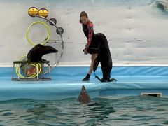 -尼莫海豚馆