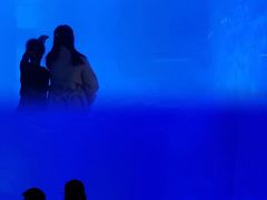 -多彩贵州城极地海洋世界