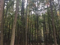 -山外山菜馆(玉泉路店)