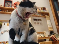 -创艺无限·赵春香微妙艺术馆