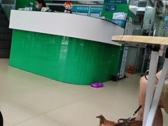 -瑞派动物医院·猫专科·至诚(江南中分院)