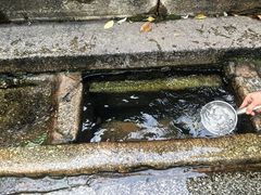 -白沙古井