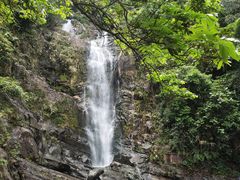 -鼎湖山风景区