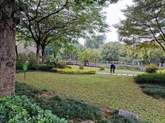 -晓港公园