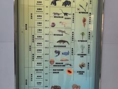-中国地质大学逸夫博物馆