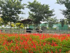 -兴芮温泉度假区