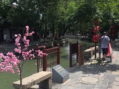 -洞天食府(北大街店)