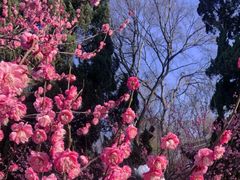 -采石矶景区