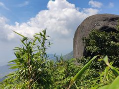 -大围山国家森林公园