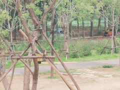 -东郊湿地公园