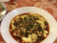 土豆青椒鸡肉丝-灯笼馆海鲜餐厅