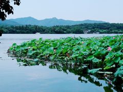 -苏堤停车场