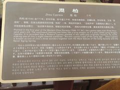 -晋祠公园