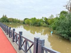 -上海长兴岛郊野公园