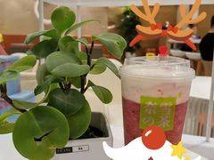 -奈雪的茶(市百一店)