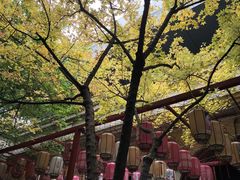 -PAGEONE(北京坊店)