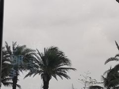 -濠轩阁特色生蚝火锅(水湾路店)