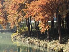 -尚贤河湿地