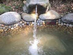 -咸宁太乙国际温泉度假村
