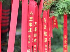 -隆兴寺