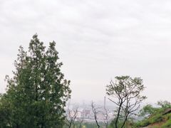 -白水寺森林公园