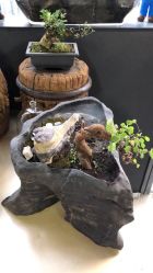 -周忆刺青原创设计定制