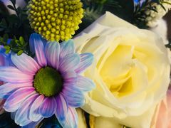 -ChaKo Flora ·茶子花艺 (市北店)