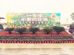 -金卉庄园