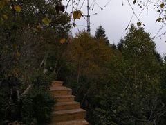 -白草畔自然风景区