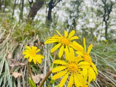 -上海市保健医疗中心