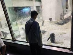 -大连圣亚海洋世界