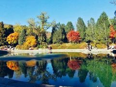-香山公园