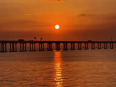 -宝安西湾红树林湿地公园