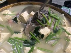 -大锅强·蒸海鲜青岛菜(吾悦广场店)