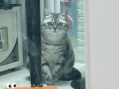 -纳吉亚猫专科动物医院博雅分院