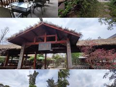 -胖大姐黄辣丁鱼庄(新津店)