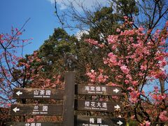 -南山植物园