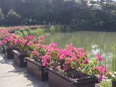 -福田红树林生态公园